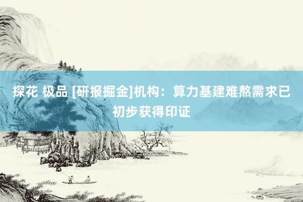 探花 极品 [研报掘金]机构：算力基建难熬需求已初步获得印证