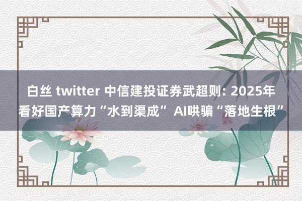 白丝 twitter 中信建投证券武超则: 2025年看好国产算力“水到渠成” AI哄骗“落地生根”