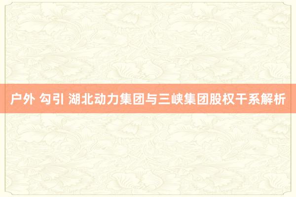 户外 勾引 湖北动力集团与三峡集团股权干系解析
