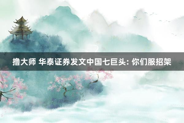 撸大师 华泰证券发文中国七巨头: 你们服招架