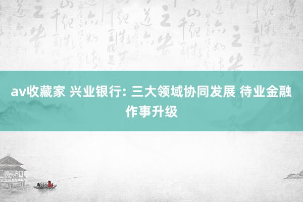 av收藏家 兴业银行: 三大领域协同发展 待业金融作事升级