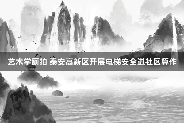 艺术学厕拍 泰安高新区开展电梯安全进社区算作