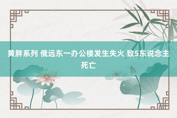 黄胖系列 俄远东一办公楼发生失火 致5东说念主死亡