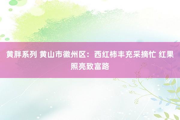 黄胖系列 黄山市徽州区：西红柿丰充采摘忙 红果照亮致富路