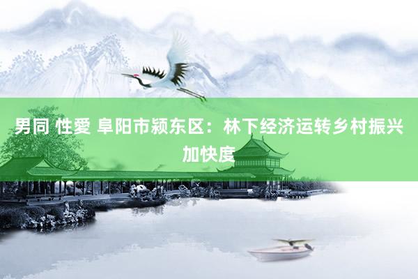 男同 性愛 阜阳市颍东区：林下经济运转乡村振兴加快度