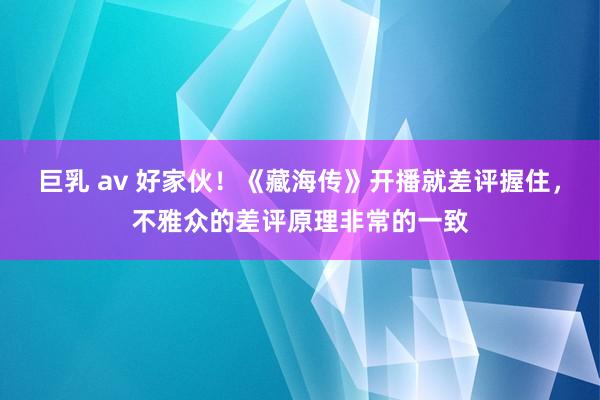 巨乳 av 好家伙！《藏海传》开播就差评握住，不雅众的差评原理非常的一致