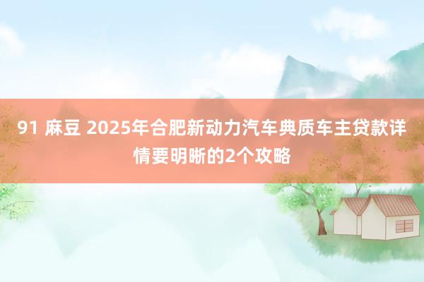 91 麻豆 2025年合肥新动力汽车典质车主贷款详情要明晰的2个攻略