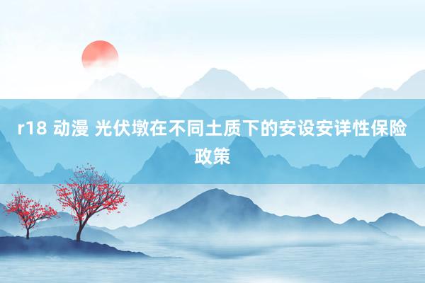 r18 动漫 光伏墩在不同土质下的安设安详性保险政策