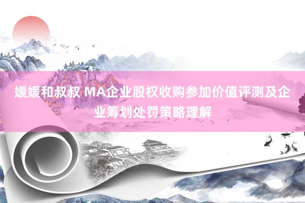 媛媛和叔叔 MA企业股权收购参加价值评测及企业筹划处罚策略理解