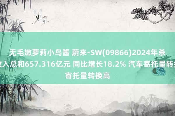 无毛嫩萝莉小鸟酱 蔚来-SW(09866)2024年杀青收入总和657.316亿元 同比增长18.2% 汽车寄托量转换高