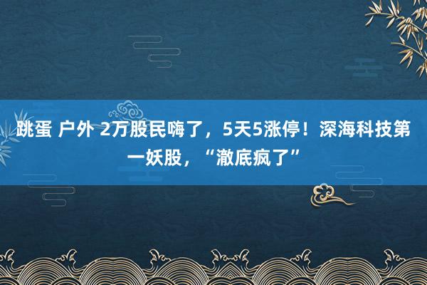 跳蛋 户外 2万股民嗨了，5天5涨停！深海科技第一妖股，“澈底疯了”