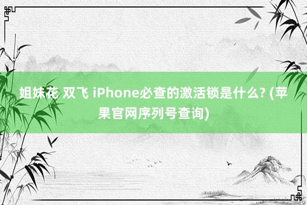 姐妹花 双飞 iPhone必查的激活锁是什么? (苹果官网序列号查询)