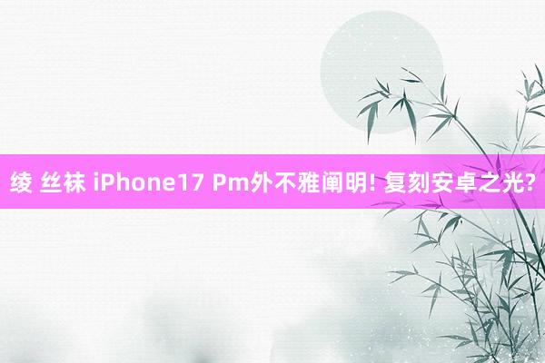 绫 丝袜 iPhone17 Pm外不雅阐明! 复刻安卓之光?
