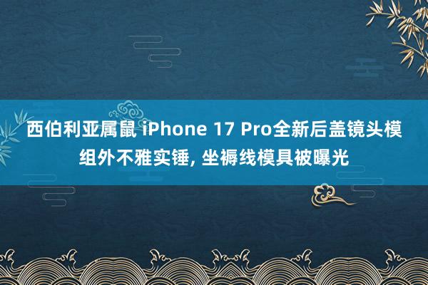 西伯利亚属鼠 iPhone 17 Pro全新后盖镜头模组外不雅实锤， 坐褥线模具被曝光