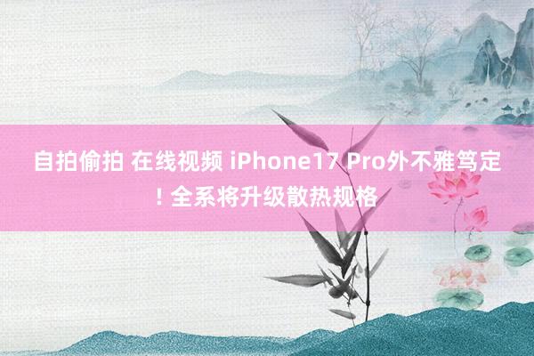 自拍偷拍 在线视频 iPhone17 Pro外不雅笃定! 全系将升级散热规格