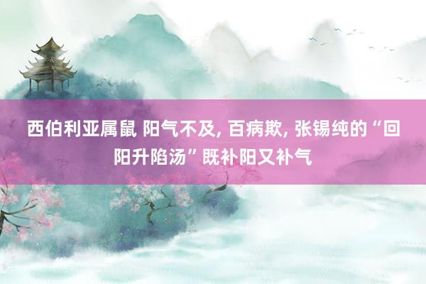 西伯利亚属鼠 阳气不及， 百病欺， 张锡纯的“回阳升陷汤”既补阳又补气