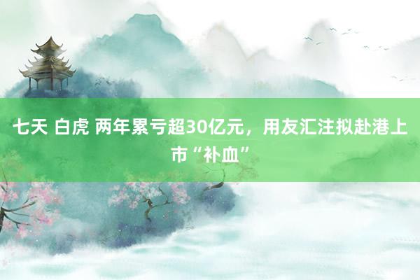 七天 白虎 两年累亏超30亿元，用友汇注拟赴港上市“补血”