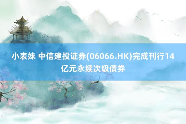 小表妹 中信建投证券(06066.HK)完成刊行14亿元永续次级债券