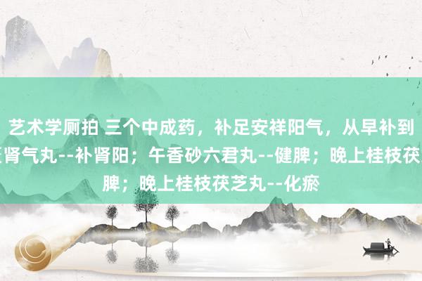 艺术学厕拍 三个中成药，补足安祥阳气，从早补到晚！早金匮肾气丸--补肾阳；午香砂六君丸--健脾；晚上桂枝茯芝丸--化瘀