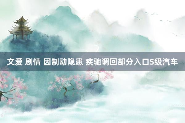 文爱 剧情 因制动隐患 疾驰调回部分入口S级汽车